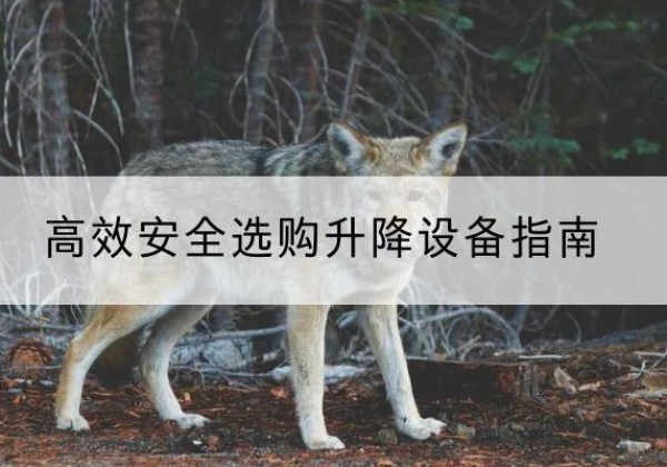 越西升降货梯厂家推荐-*安全选购升降设备指南