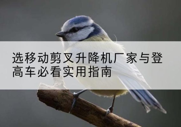 越西电动升降机厂家-选移动剪叉升降机厂家与登高车必看实用指南