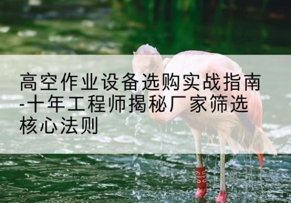 越西剪叉式升降机厂家-高空作业设备选购实战指南-十年工程师揭秘厂家筛选核心法则
